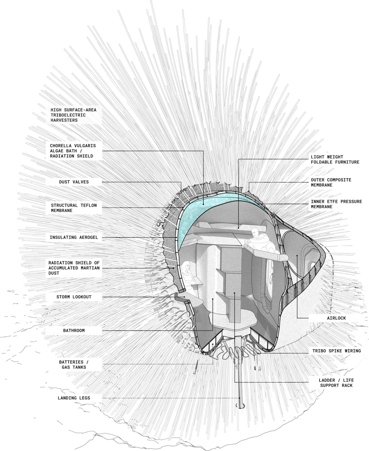 Dandelion shelter shown as a cross section with internal and external components labelled.
